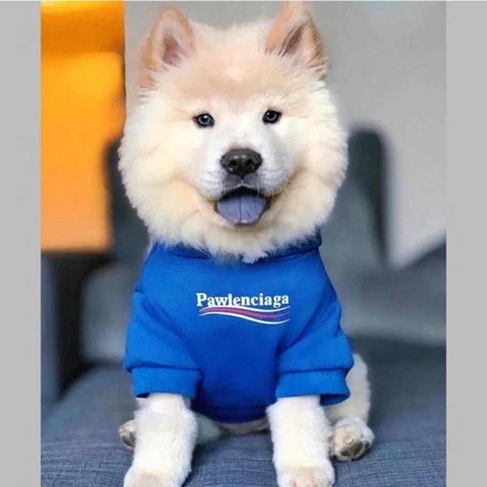 Pawlenciaga Small Dog Hoodie Pet Apparel In Blue